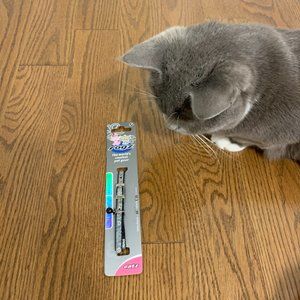 πΈ 2/$20 Cute Cat Collar